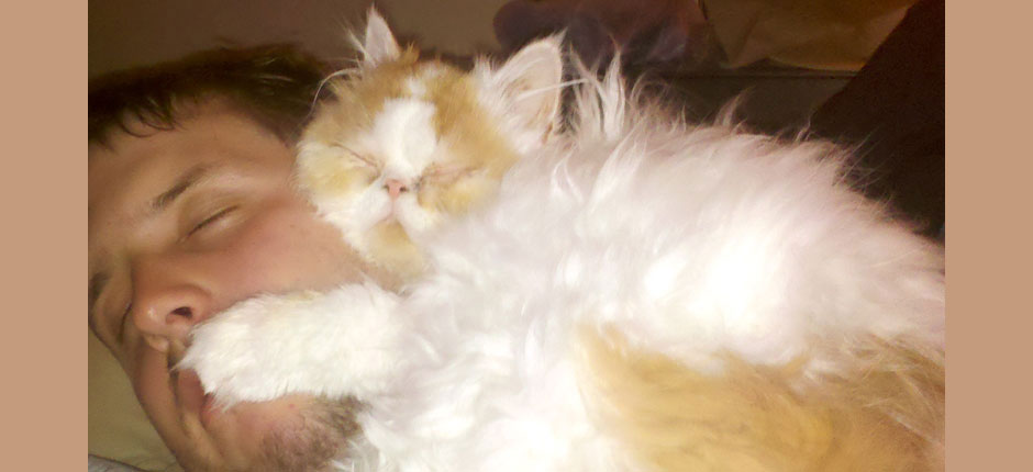 Lazy? Me? Check out this guy I'm perched on. Me--I'm sleeping hard, man. I mean, hard!