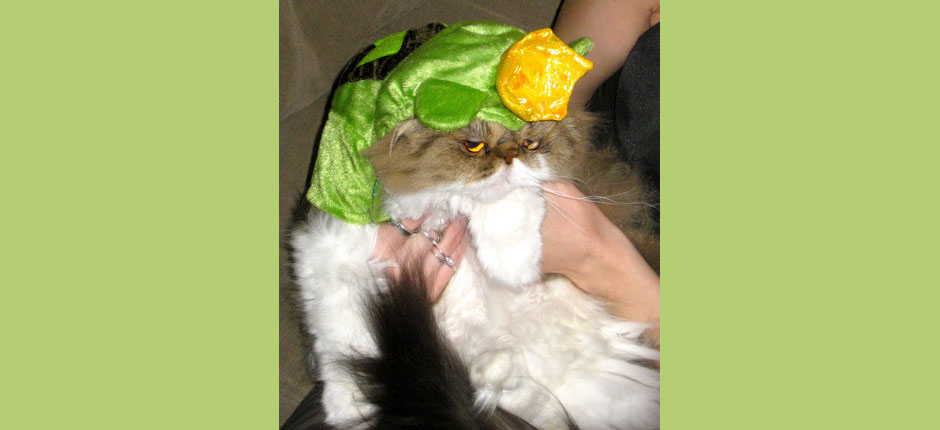 Okay, NOW I'm happy. 